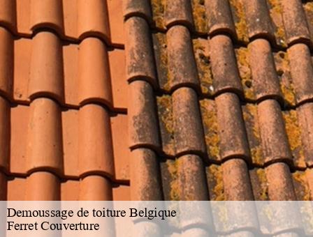 Demoussage de toiture Belgique 