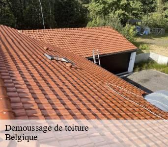 Demoussage de toiture Belgique 