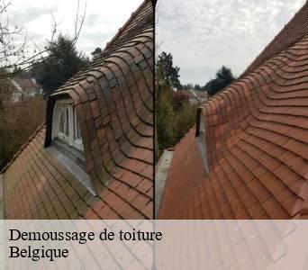 Demoussage de toiture Belgique 