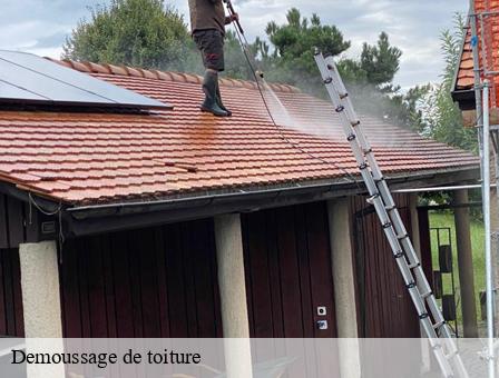 Demoussage de toiture Belgique 