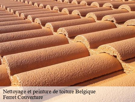 Nettoyage et peinture de toiture Belgique 