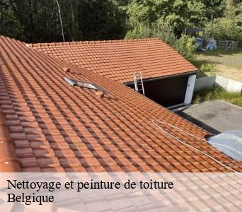 Nettoyage et peinture de toiture Belgique 