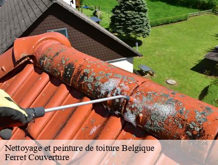 Nettoyage et peinture de toiture Belgique 