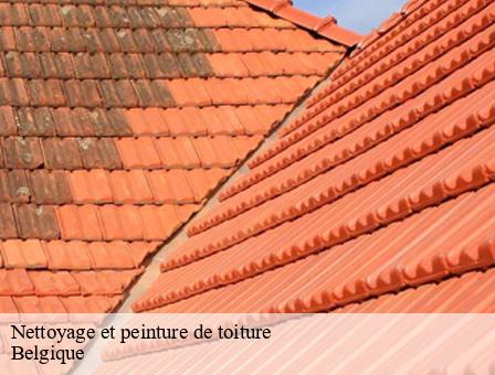 Nettoyage et peinture de toiture Belgique 