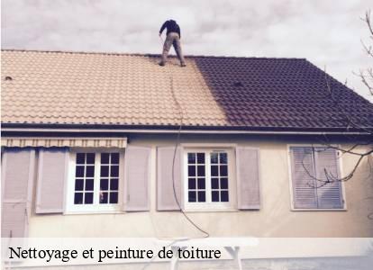 Nettoyage et peinture de toiture Belgique 