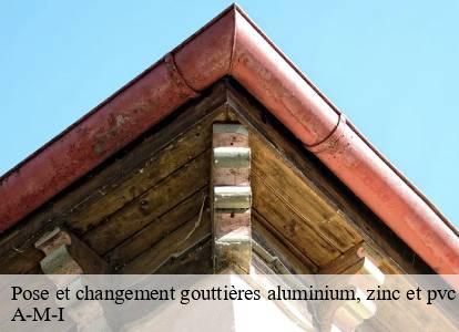 Pose et changement gouttières aluminium, zinc et pvc Belgique 