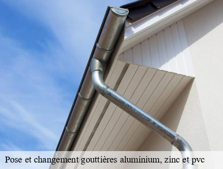 Pose et changement gouttières aluminium, zinc et pvc Belgique 