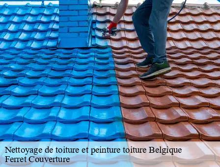 Nettoyage de toiture et peinture toiture Belgique 