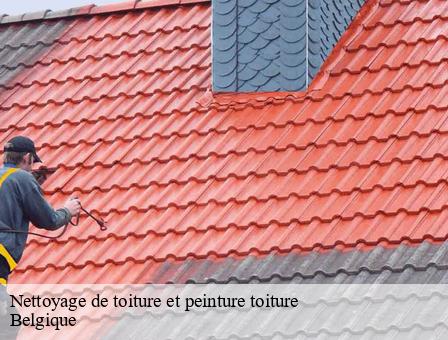 Nettoyage de toiture et peinture toiture Belgique 