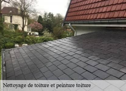 Nettoyage de toiture et peinture toiture Belgique 