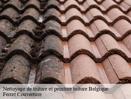 Nettoyage de toiture et peinture toiture Belgique 