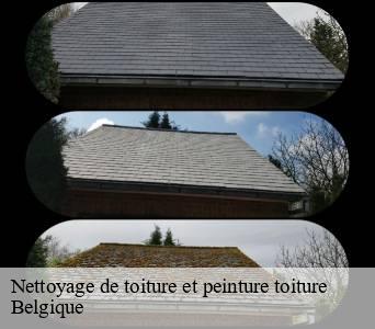 Nettoyage de toiture et peinture toiture Belgique 