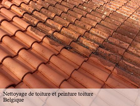 Nettoyage de toiture et peinture toiture Belgique 