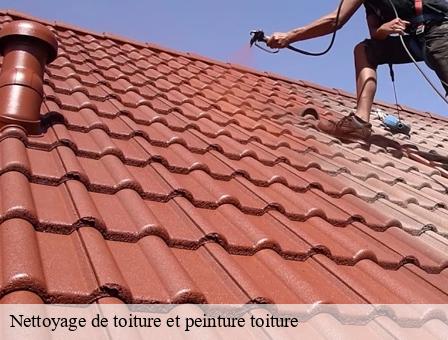 Nettoyage de toiture et peinture toiture Belgique 