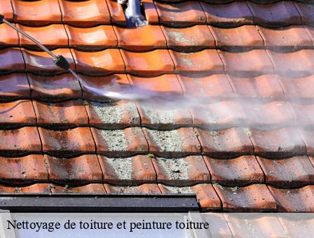 Nettoyage de toiture et peinture toiture Belgique