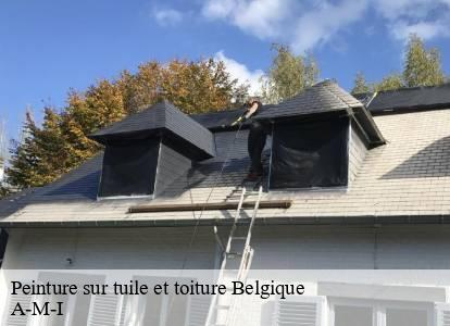 Peinture sur tuile et toiture Belgique 