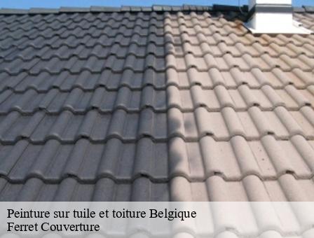 Peinture sur tuile et toiture Belgique 