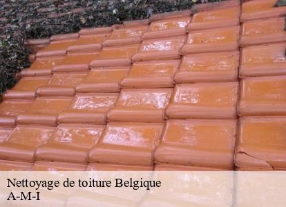 Nettoyage de toiture Belgique 