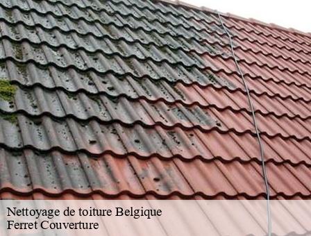 Nettoyage de toiture Belgique 