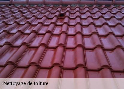 Nettoyage de toiture Belgique 