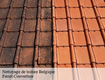 Nettoyage de toiture Belgique 