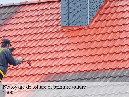 Nettoyage de toiture et peinture toiture  5300