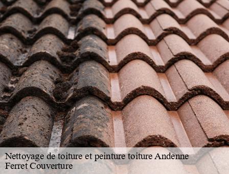 Nettoyage de toiture et peinture toiture  5300