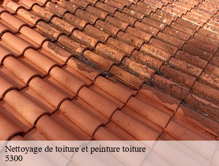 Nettoyage de toiture et peinture toiture  5300