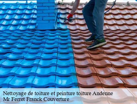 Nettoyage de toiture et peinture toiture  5300