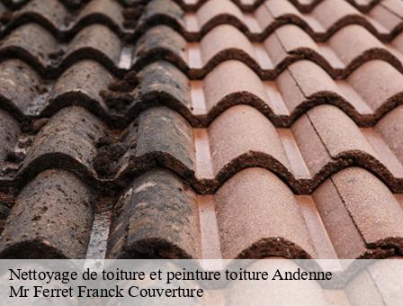 Nettoyage de toiture et peinture toiture  5300