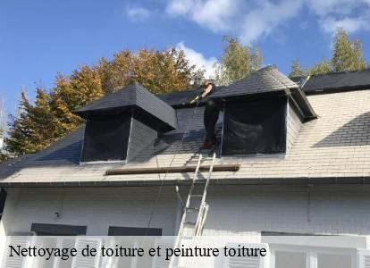 Nettoyage de toiture et peinture toiture  1080