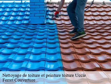 Nettoyage de toiture et peinture toiture 1080
