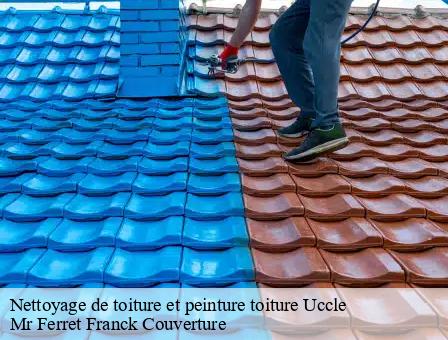 Nettoyage de toiture et peinture toiture 1080