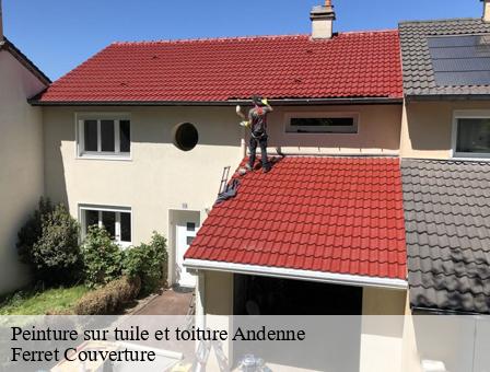 Peinture sur tuile et toiture  5300