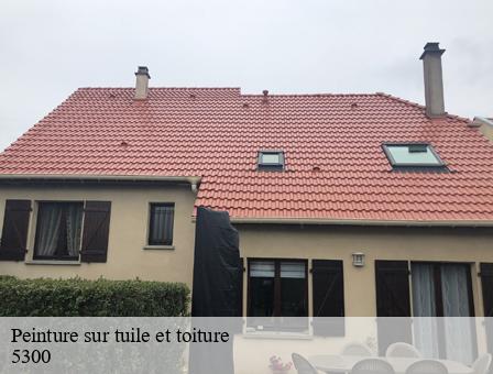 Peinture sur tuile et toiture  5300