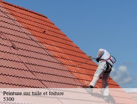Peinture sur tuile et toiture  5300