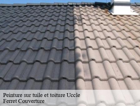 Peinture sur tuile et toiture  1080