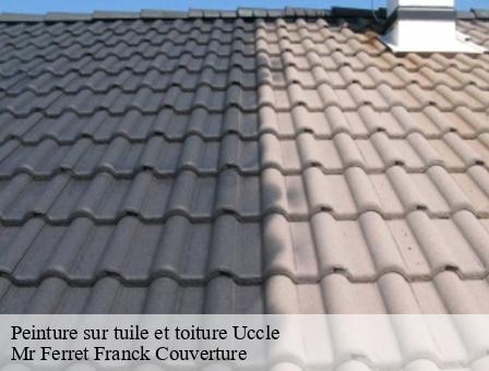 Peinture sur tuile et toiture 1080
