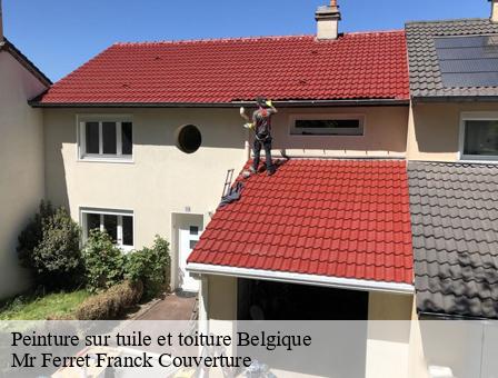 Peinture sur tuile et toiture  