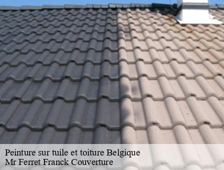 Peinture sur tuile et toiture  