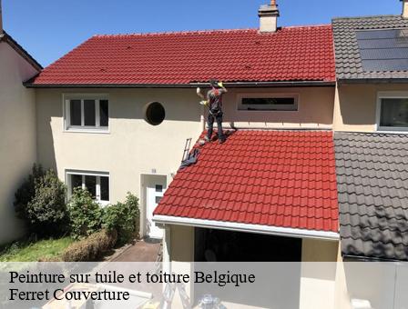 Peinture sur tuile et toiture