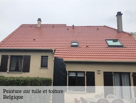 Peinture sur tuile et toiture