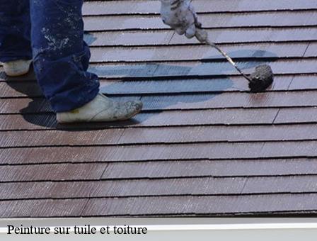 Peinture sur tuile et toiture