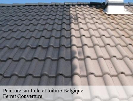 Peinture sur tuile et toiture