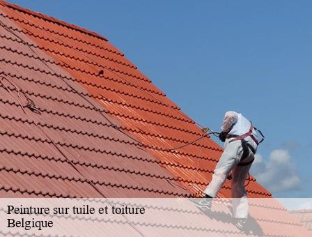 Peinture sur tuile et toiture