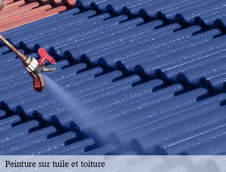 Peinture sur tuile et toiture