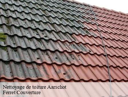 Nettoyage de toiture 3200