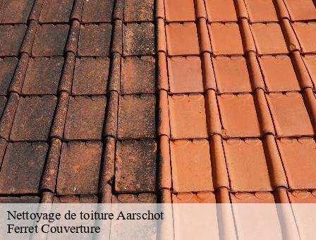 Nettoyage de toiture 3200