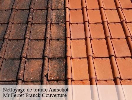 Nettoyage de toiture 3200