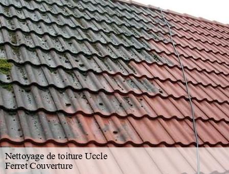 Nettoyage de toiture 1080